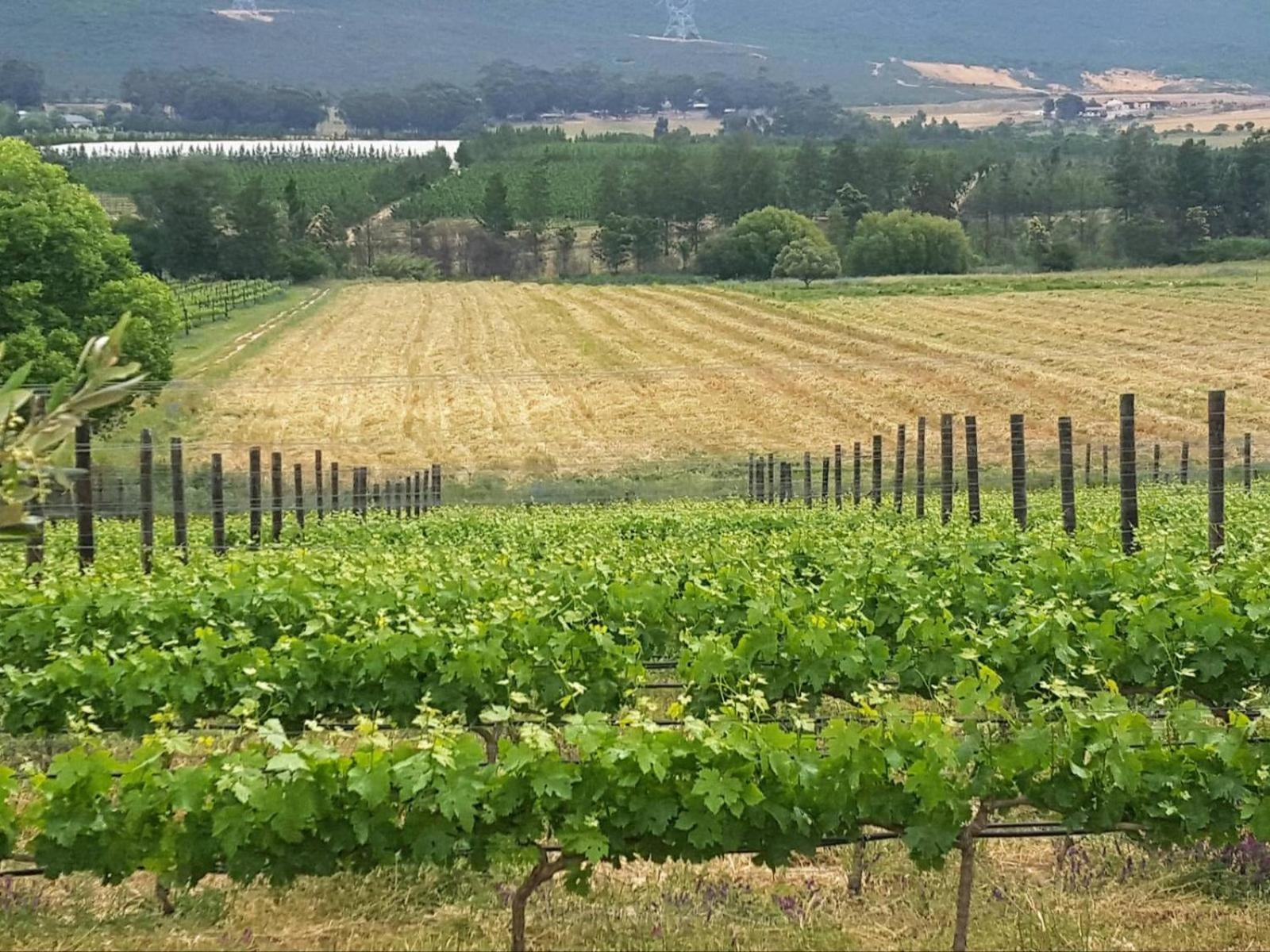 Lemberg Wine Estate Βίλα Tulbagh Εξωτερικό φωτογραφία